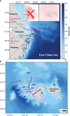 Hydrodynamic effects of large-scale suspended mussel farms: Field observations and numerical simulations